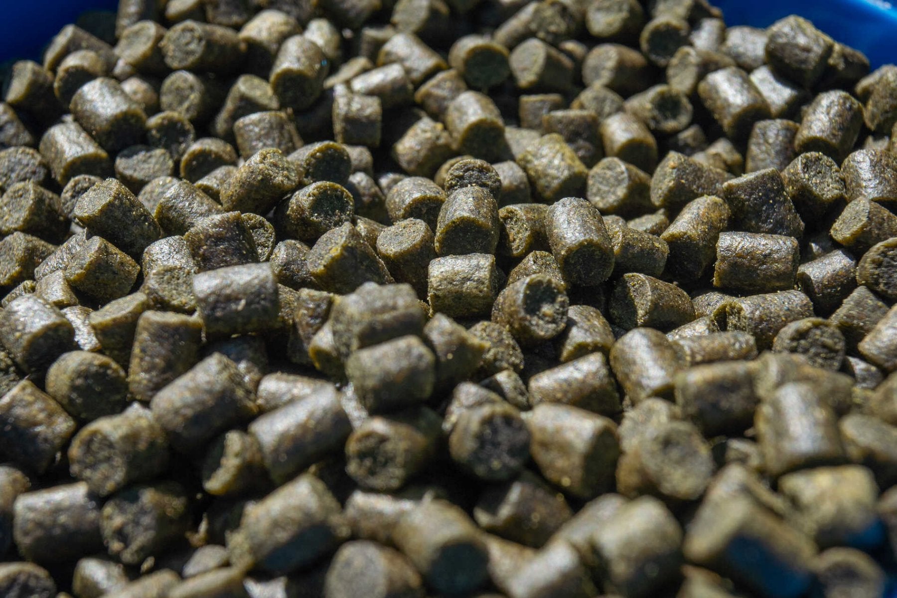 sonubaits marine green feed pellets