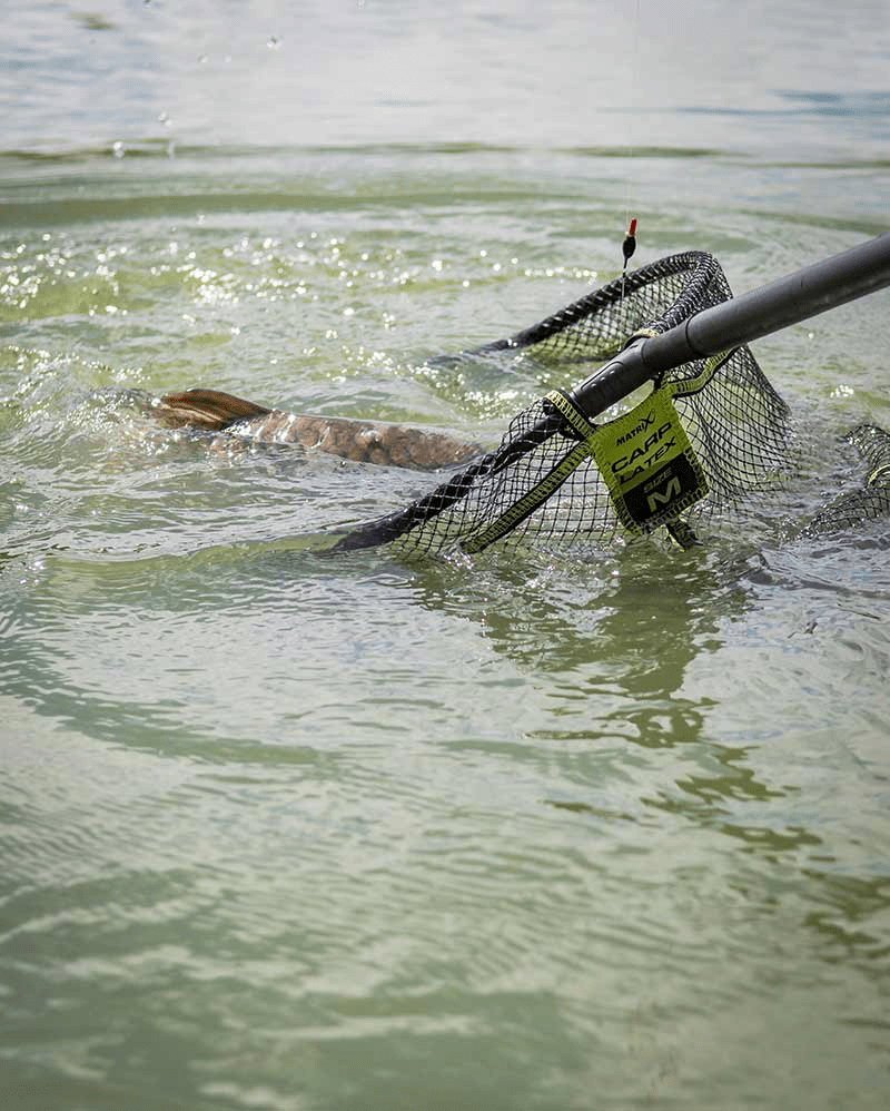 CARP LATEX LANDING NET