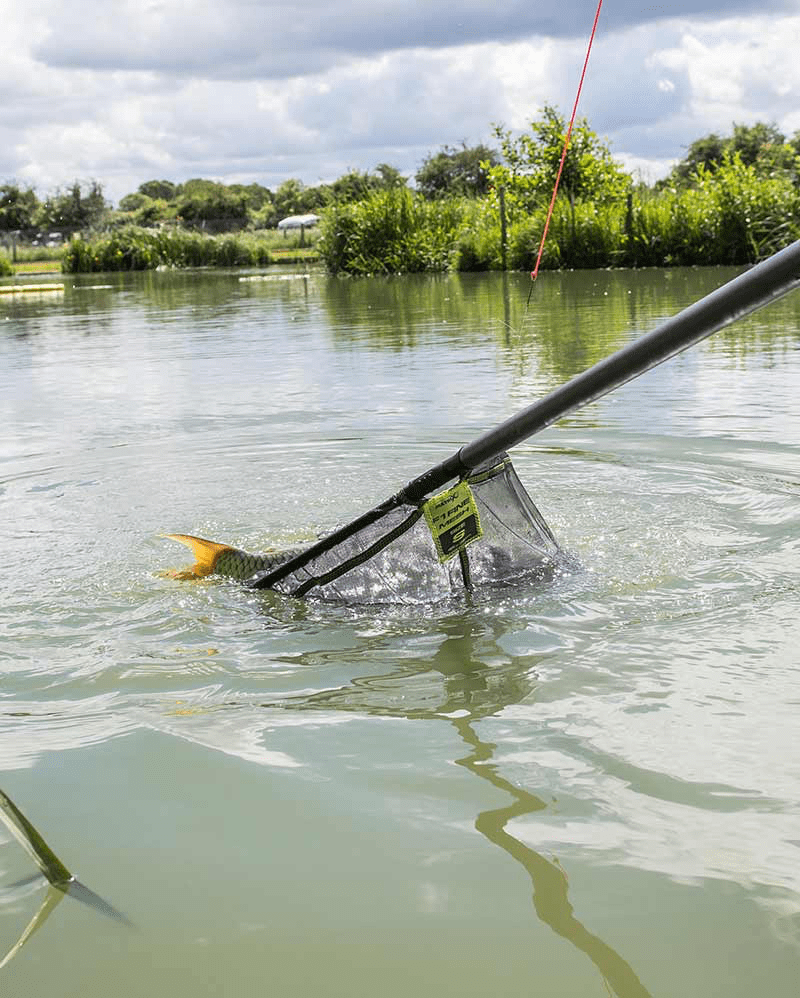 FINE MESH LANDING NET